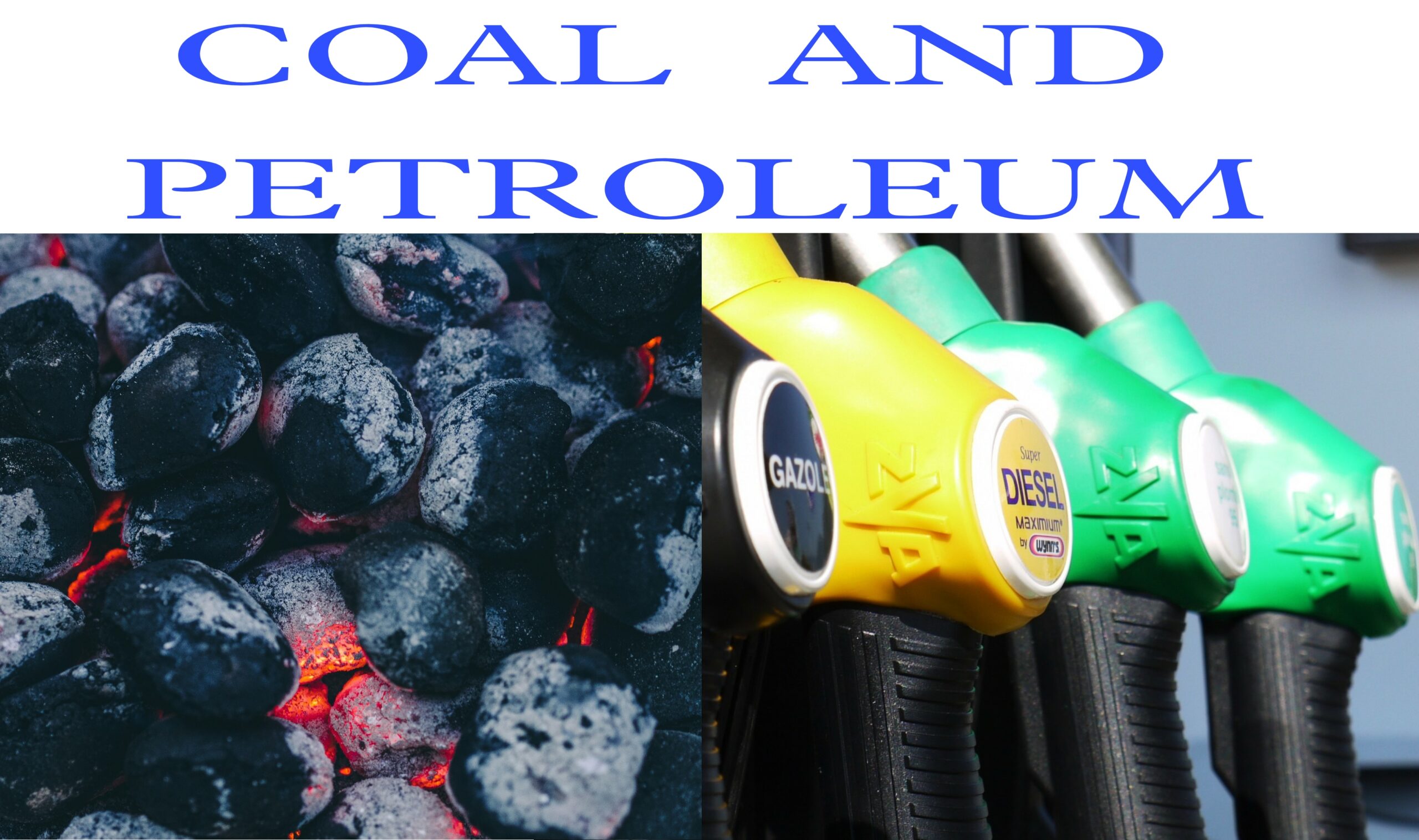 Coal and Petroleum